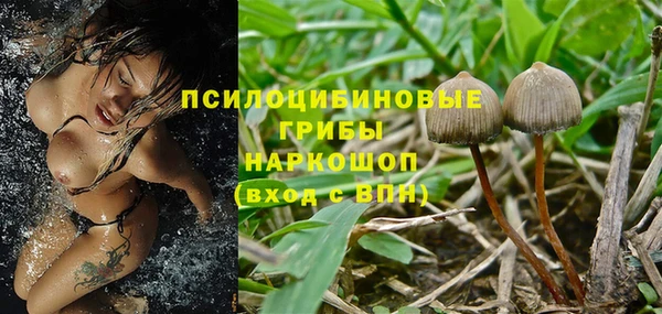 стаф Покровск