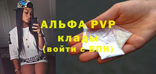 стаф Покачи