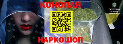 сатива Малгобек