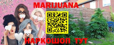 сатива Малгобек