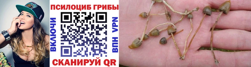 Псилоцибиновые грибы GOLDEN TEACHER Благодарный