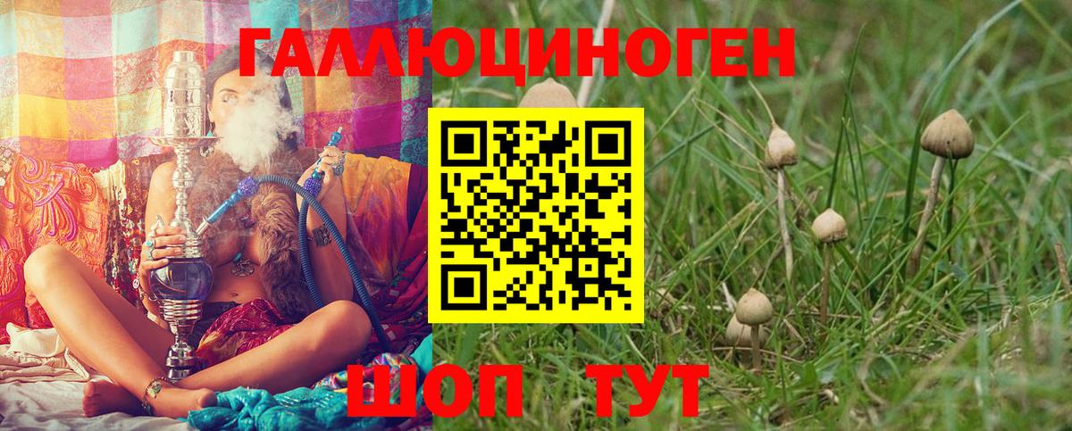 Псилоцибиновые грибы мухоморы Благодарный