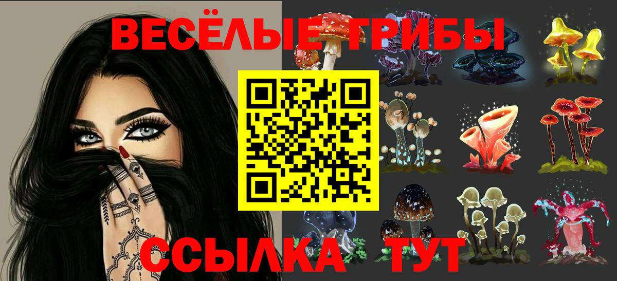 Благодарный  Псилоцибиновые грибы GOLDEN TEACHER  Вход с VPN 